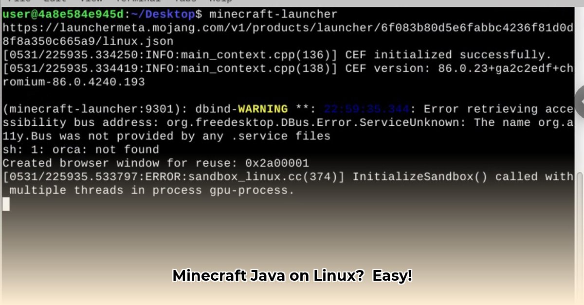 minecraft-download-java-linux